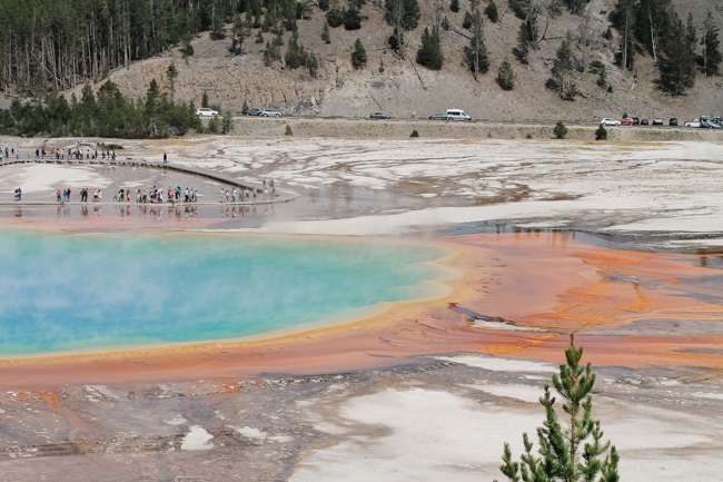 View from the Grand Prismatic Spring Overlook