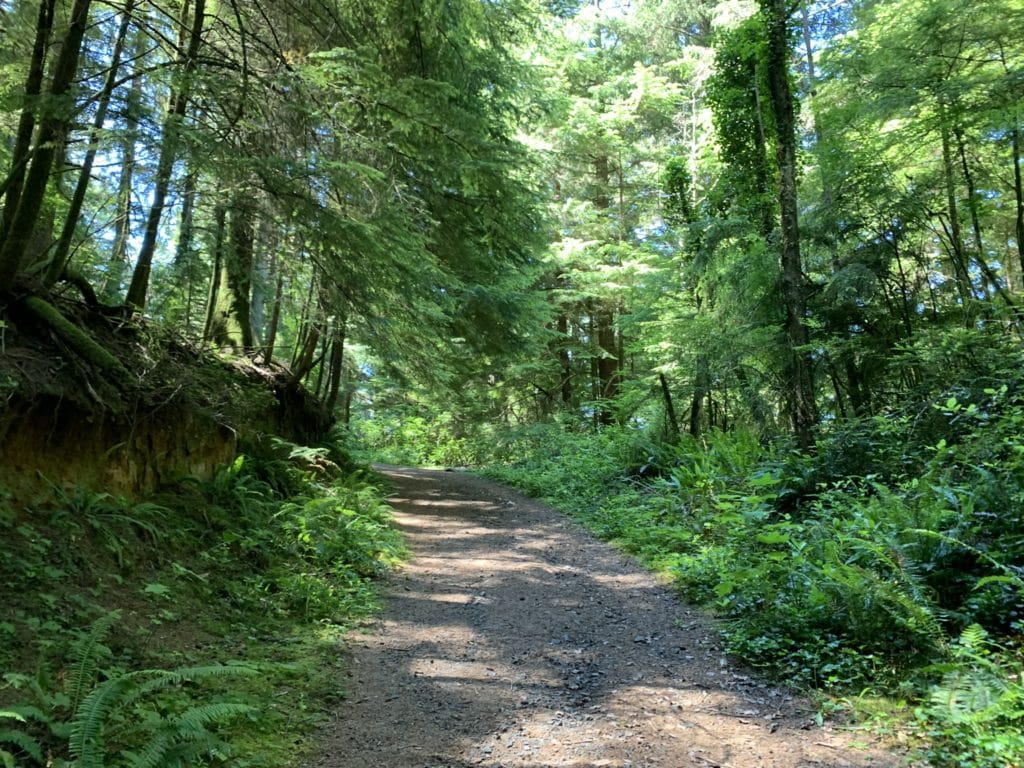Hiking nearby the Oregon Dunes National Recreation area.