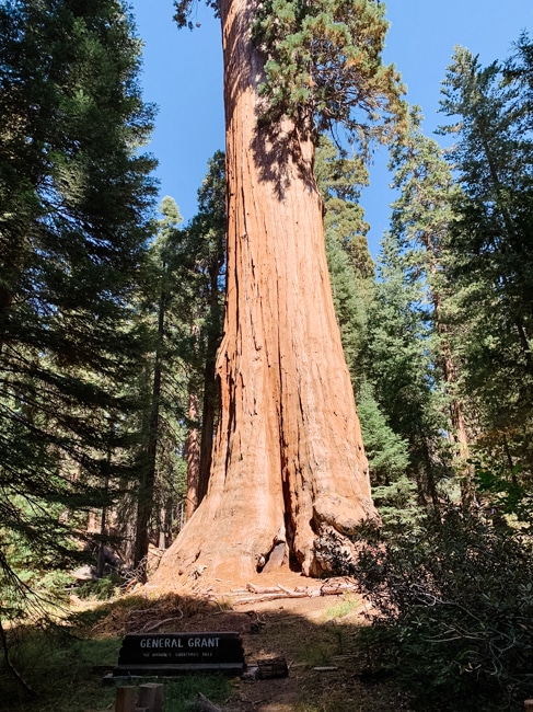 General Grant in Kings Canyon National Park in California