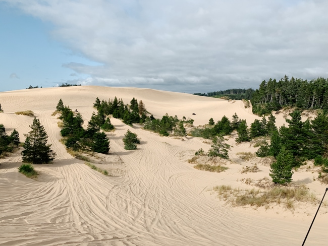 Oregon Dunes National Recreation Area