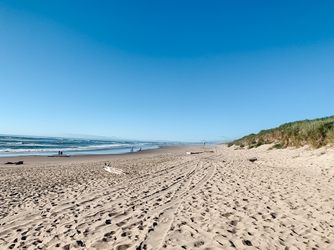 Beaches at the Oregon sand dunes.