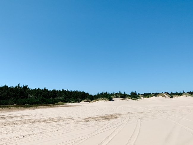 Oregon sand dunes buggy trail on a Polaris RZR