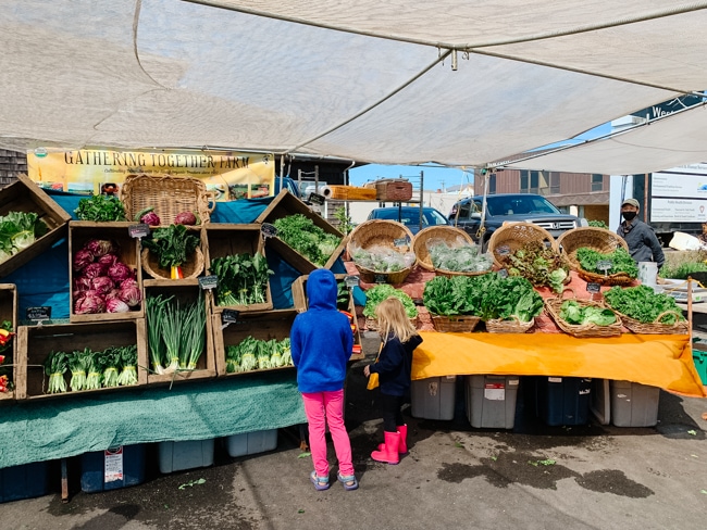 Newport, Oregon farmers market
