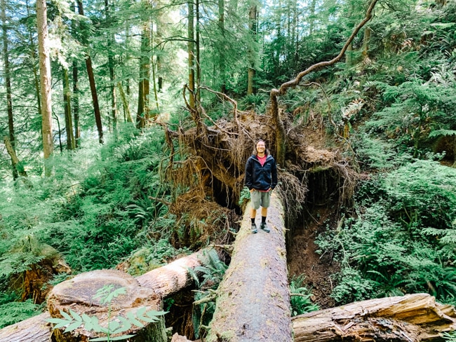 Ocean to Bay Trail in Newport, Oregon