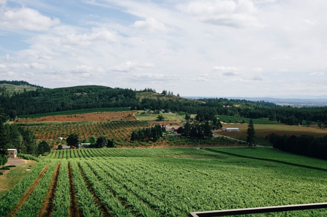 Another one of the popular day trips from Portland is the Willamette Valley