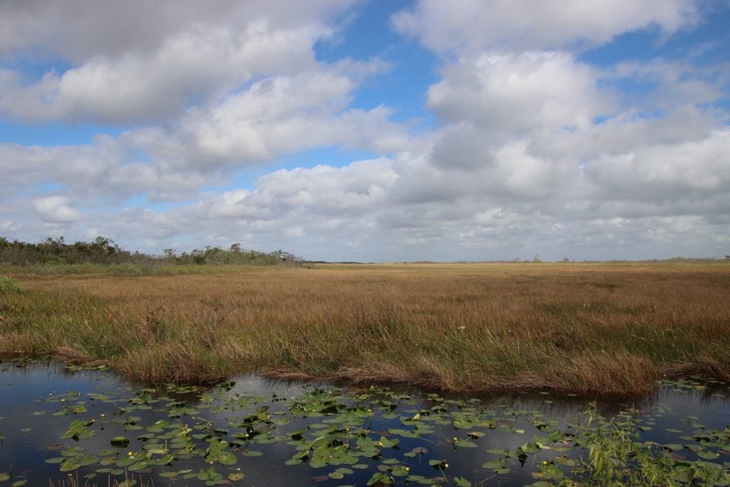 Views from the best Everglades boat tour