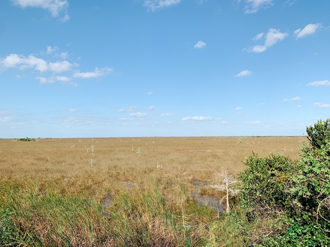 Everglades National Park