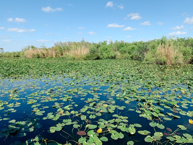 Everglades National Park in Florida
