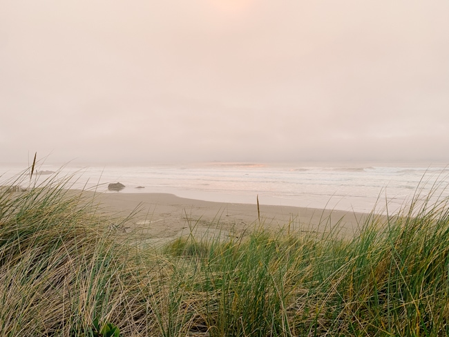 Beach near the RV parks near Gold Beach, Oregon