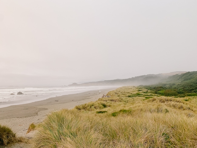 Ocean view in Gold Beach, Oregon
