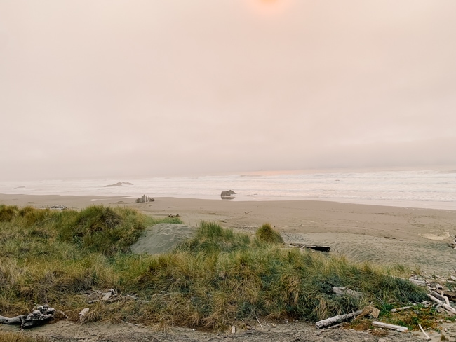 Coastal view in Gold Beach, Oregon