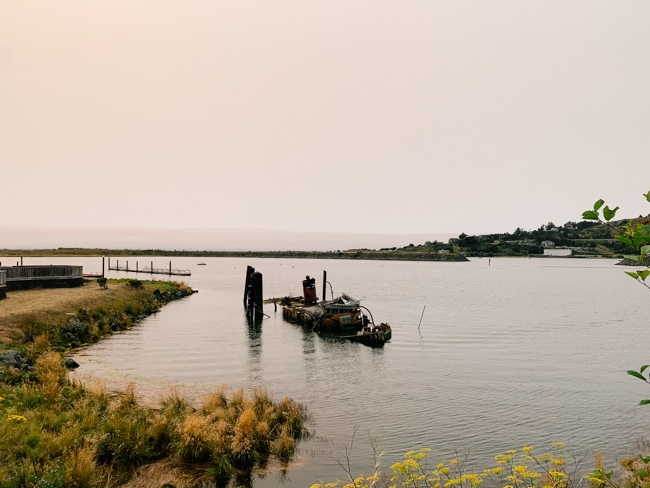The coast is very pretty near the RV parks near Gold Beach, Oregon