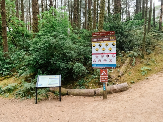 Hiking the hobbit trail is one of the popular things to do in Florence, Oregon