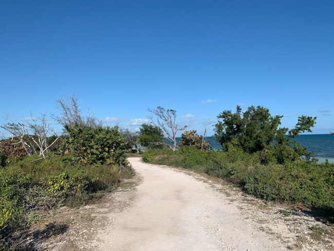 Walking path in the Keys