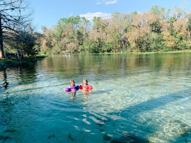 Springs in Ocala National Forest