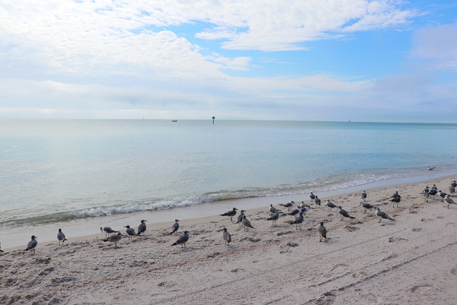 Simonton Street Beach