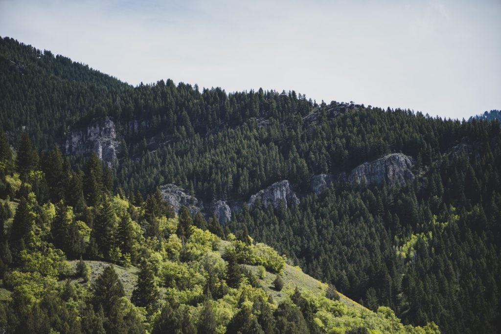 Logan Canyon National Scenic Byway