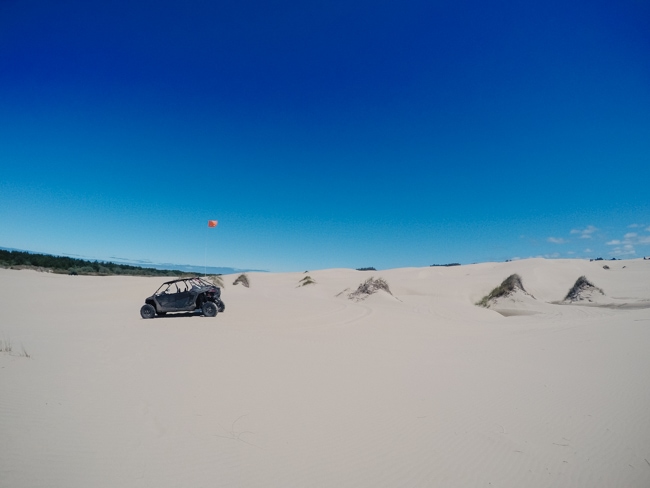 RZR on the sand dunes in Oregon