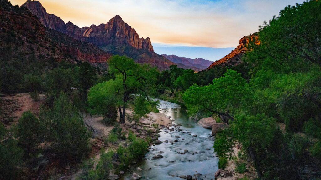 Scenic view in Zion National Park
