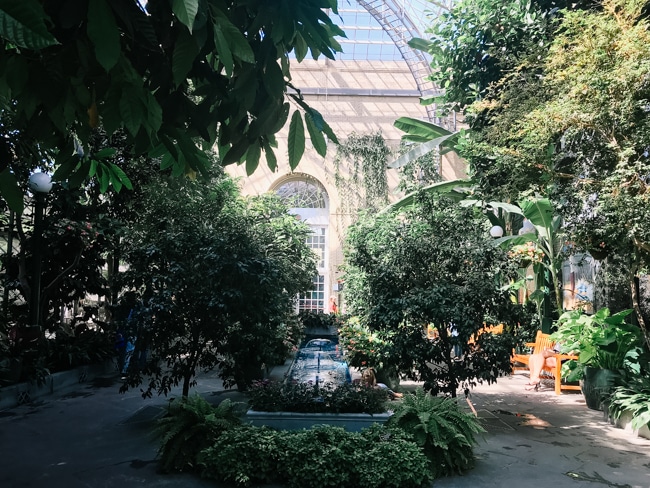 Botanic Garden in Washington DC
