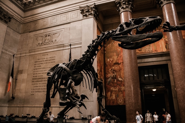 Museum of Natural History