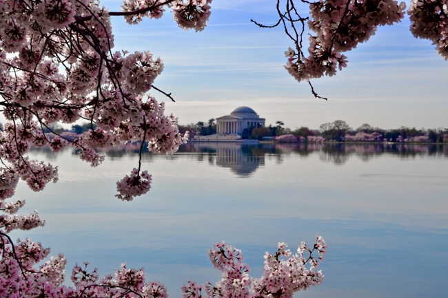 Visiting the Tidal Basin during a weekend in Washington DC