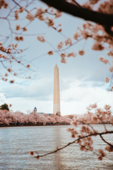 Washington Monument