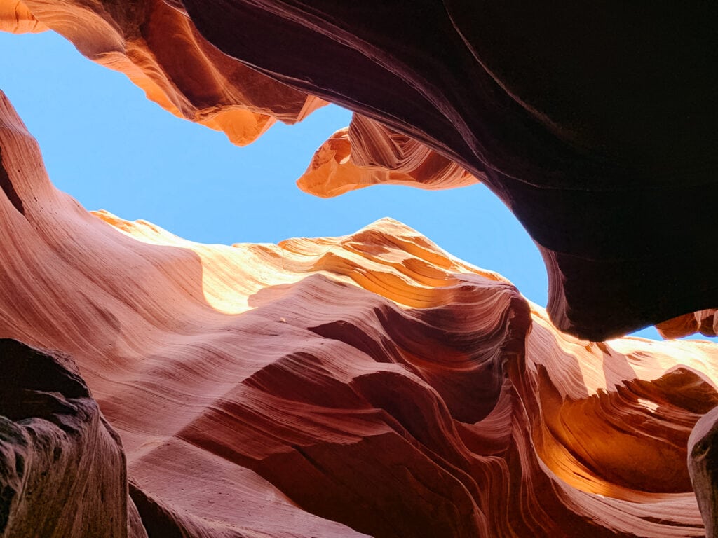 are dogs allowed in antelope canyon