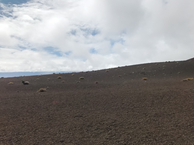 Scenic view in Hawaii Volcanoes National Park