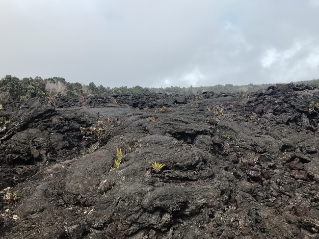 View of hardened lava