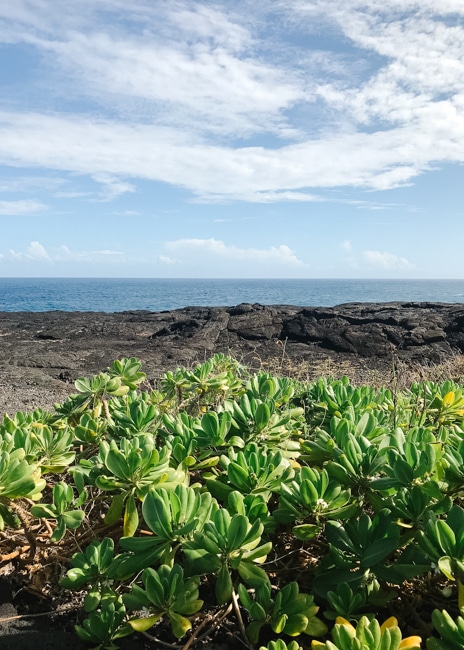 Hawaii Volcanoes National Park