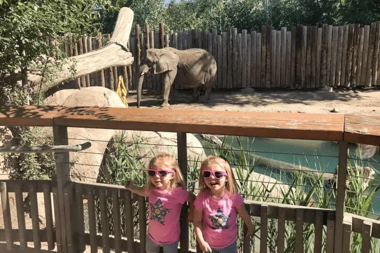 The Hogle Zoo has lots of fun things to see in Salt Lake City