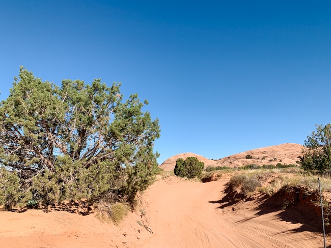 Sandy part of the Fins and Things trail in Moab, Utah