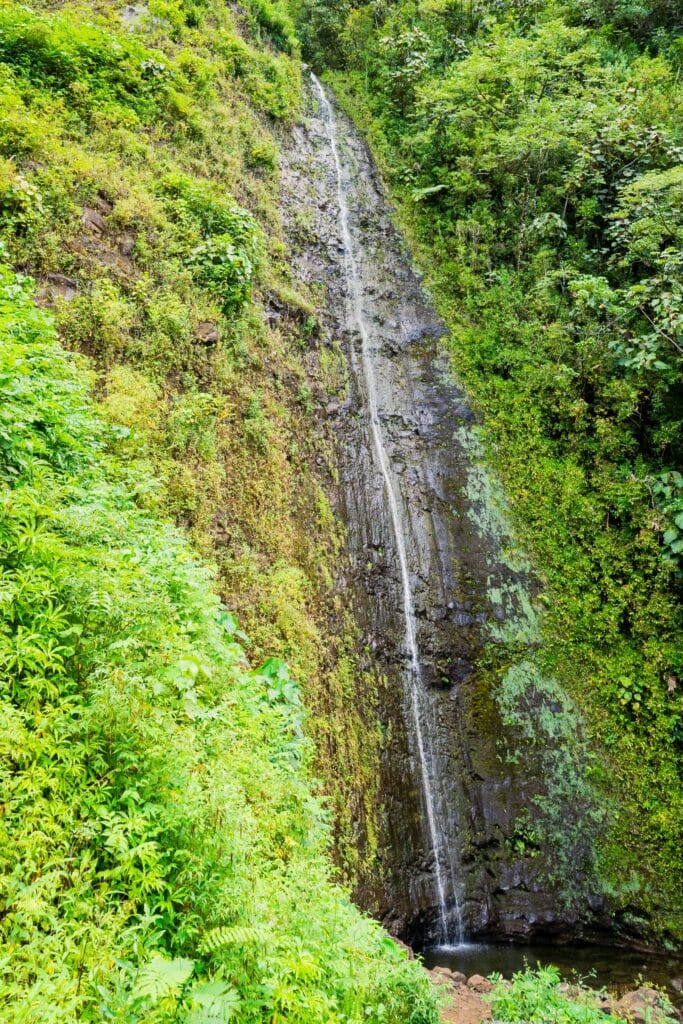 Manoa Falls on Oahu