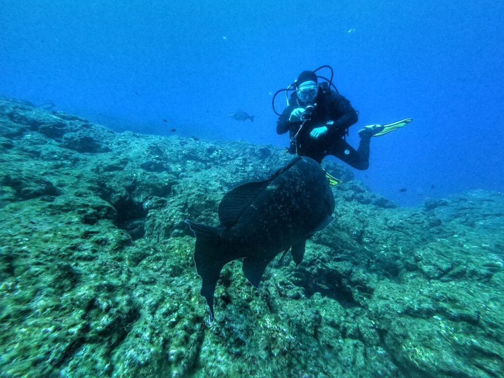 Scuba diving in Oahu Hawaii