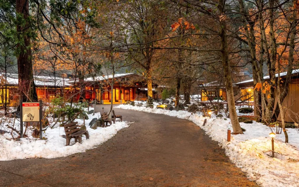 Outside the Yosemite Valley Lodge