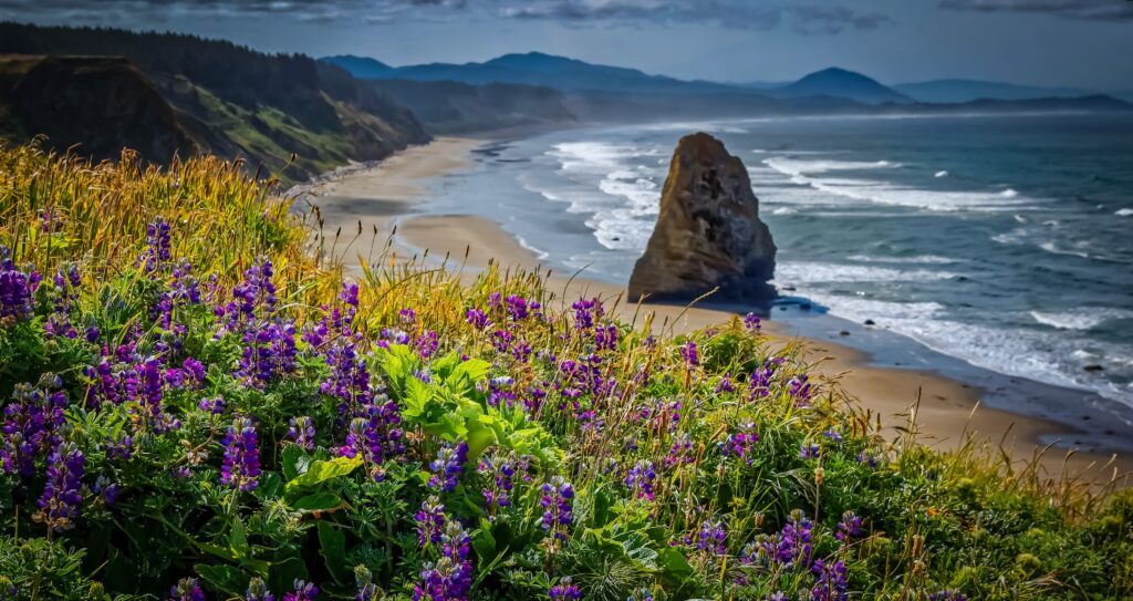 Cape Blanco is a popular stop on an Oregon Coast road trip