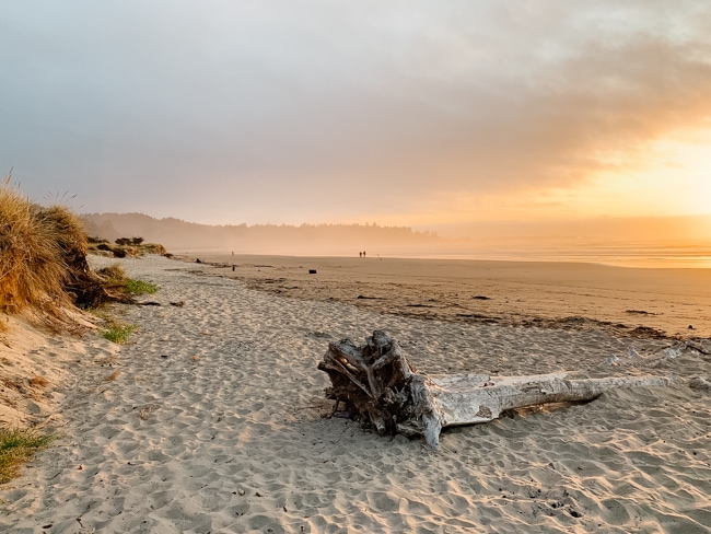 Sunset on the beach in Oregon