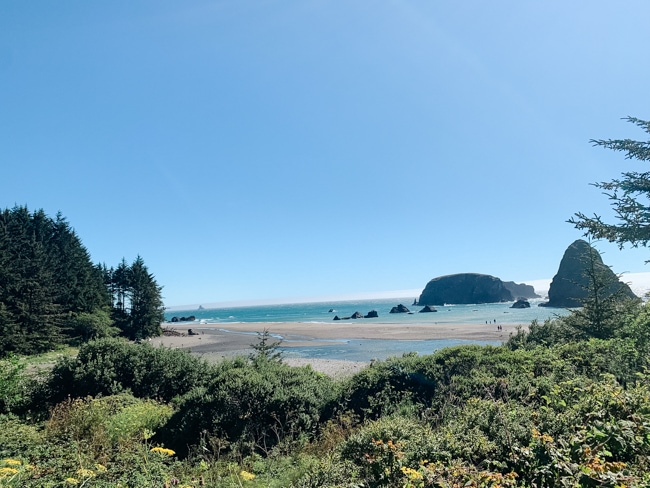 View of the Oregon Coast