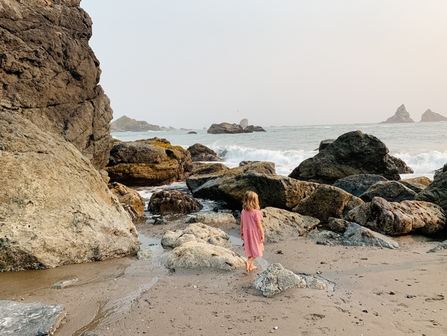 Harris Beach State Park