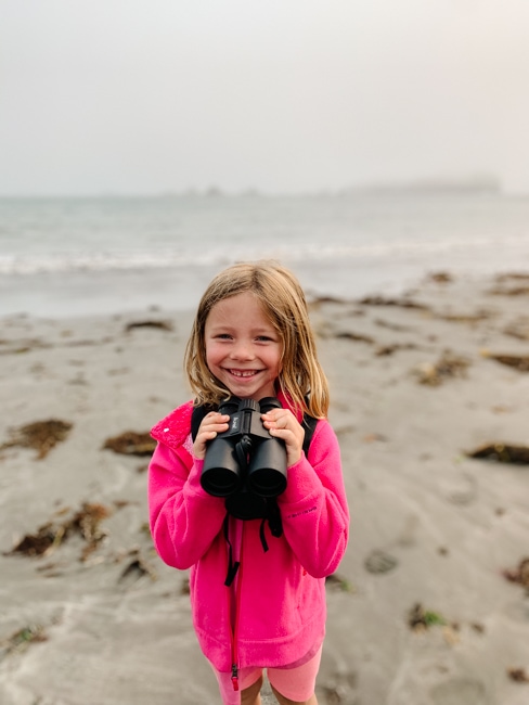 Using binoculars on the Oregon Coast to spot wildlife