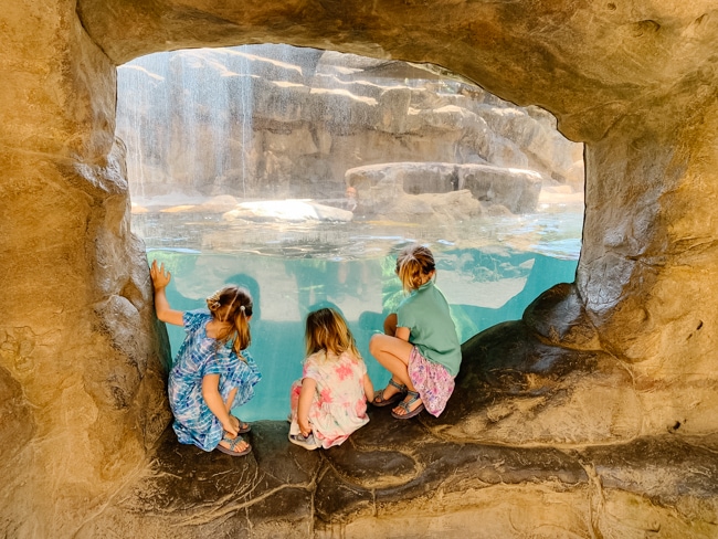 Oregon Coast Aquarium
