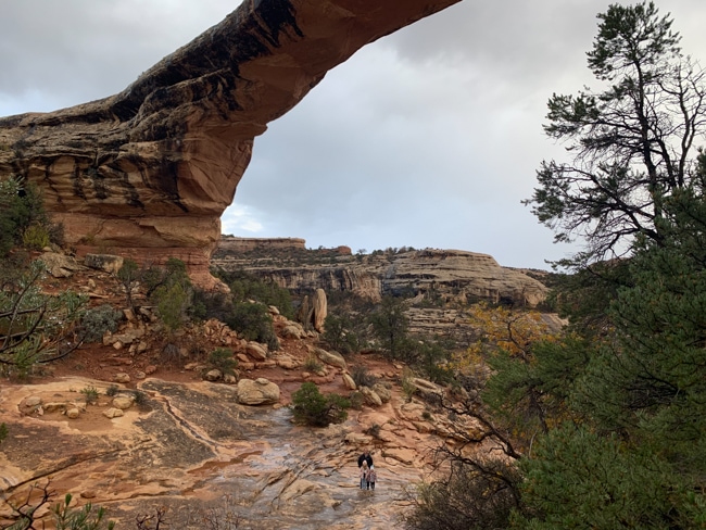 One of the fun things to do in Moab is taking a day trip to Natural Bridges National Monument.