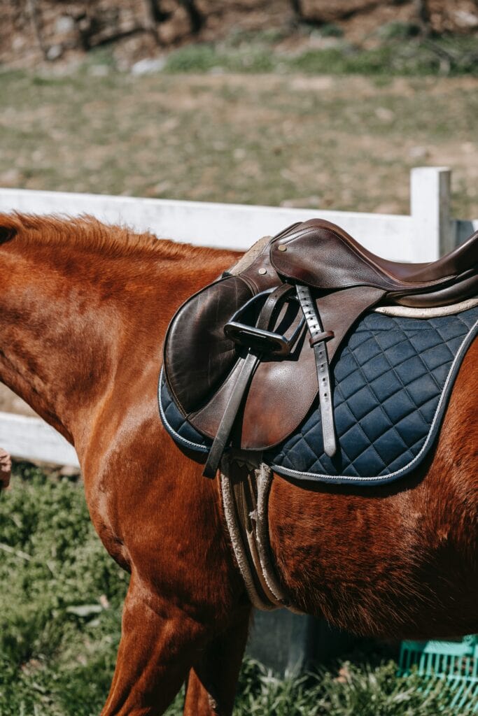 You can go on a horseback ride in Moab, Utah
