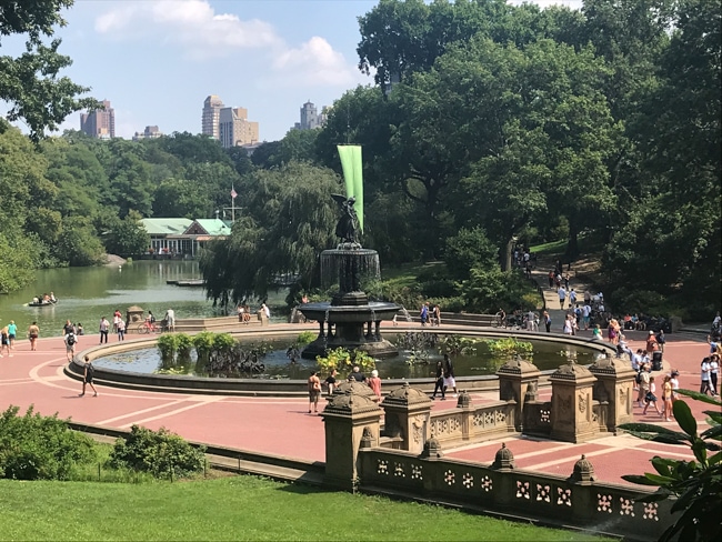 Central Park in New York City