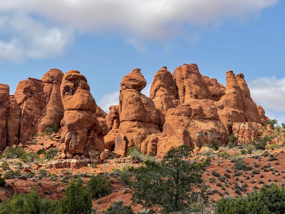 The Needles in Canyonlands National Park