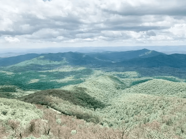 Fryingpan Mountain Lookout Tower is a popular hike near the Blue Ridge Parkway waterfalls