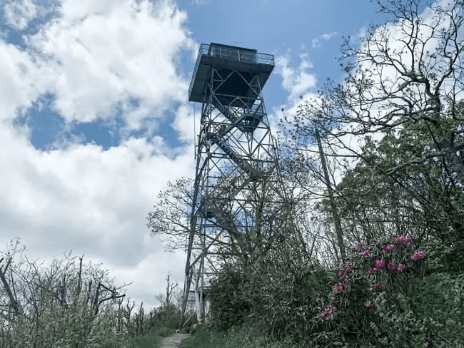 Fryingpan Mountain's Fire Tower near the Blue Ridge Parkway
