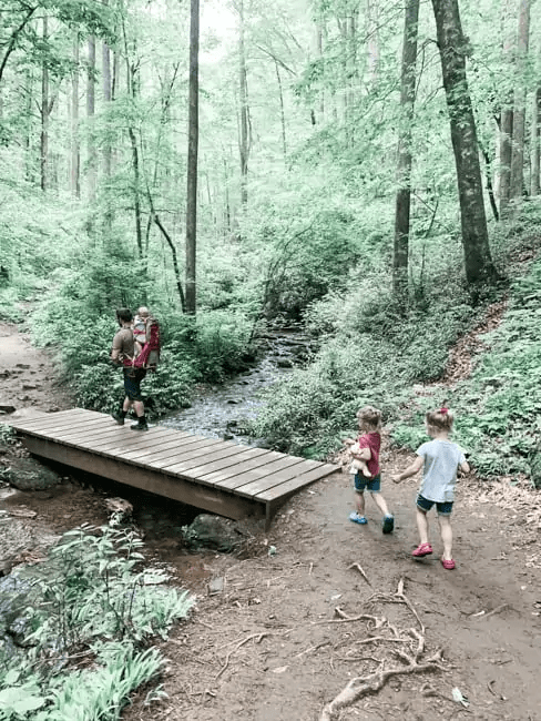 Hiking to Moore Cove Falls