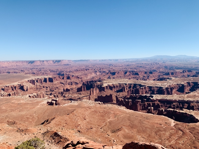 Viewpoint in Canyonlands National Park